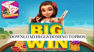 Higgs Domino Topbos Apk Unlimited Coin Terbaru 2024